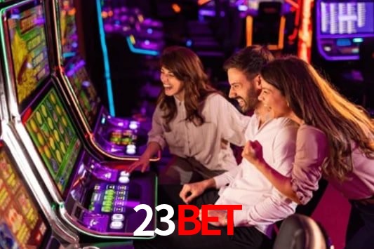 23bet: Seu Especialista em Apostas Esportivas Brasileiras